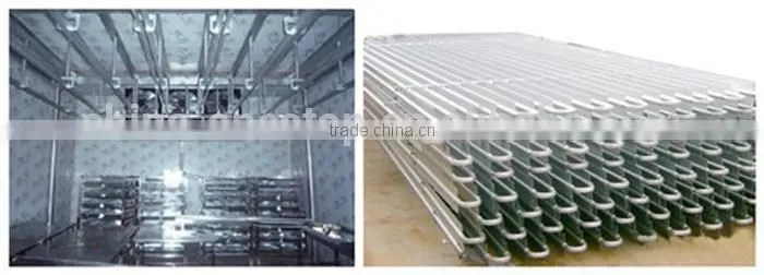 hot sell chill room for meat and fruit