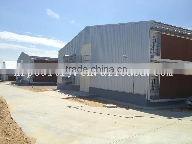 design chicken double floor shed poultry farm