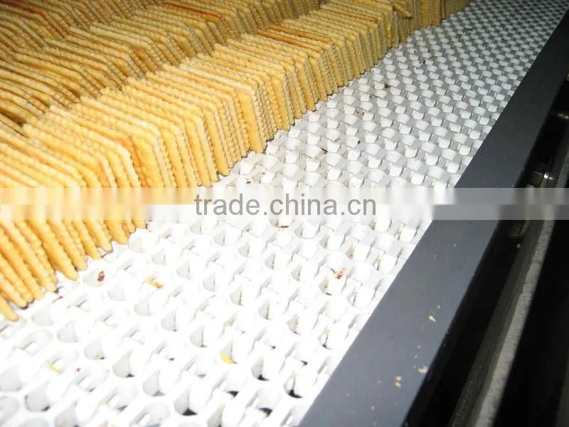 biscuit conveyor