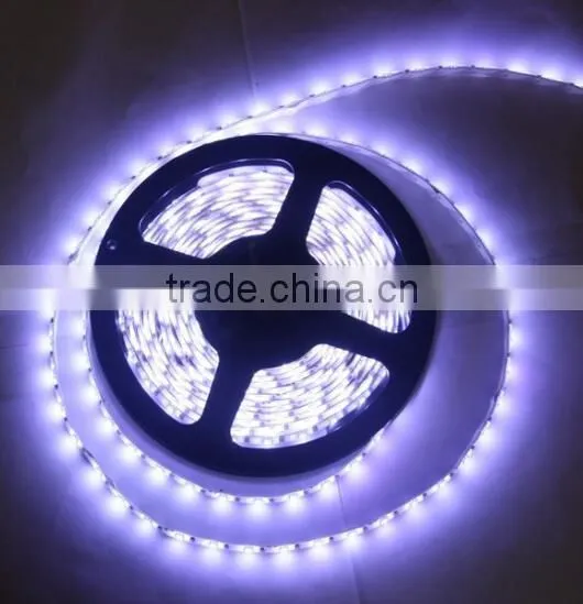 12V/24v 3528SMD 4.8W 5M CE Standard red color IP65 LED Strips