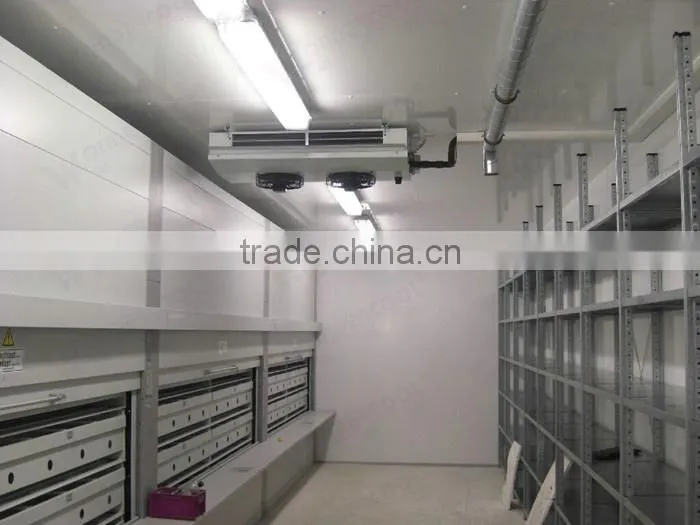 Commercial seafood meat cold room cold drink freezer