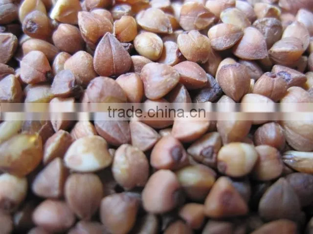 Roasted Buckwheat kernels