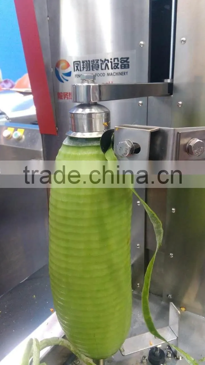 China made industrial powerful FXP-66 melon skin peeling machine