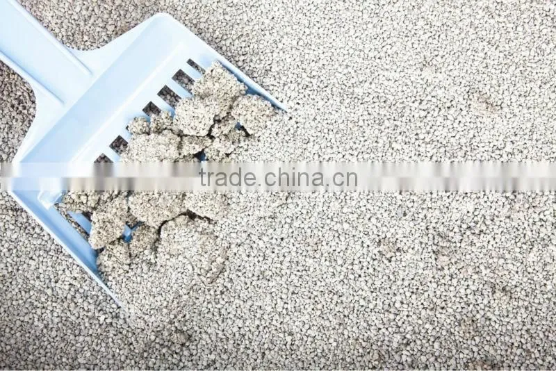 kitten litter bentonite cat litter
