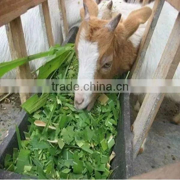 chaff cutter in feed processing machines/customers favorite pellet mill chaff cutter for animal feed