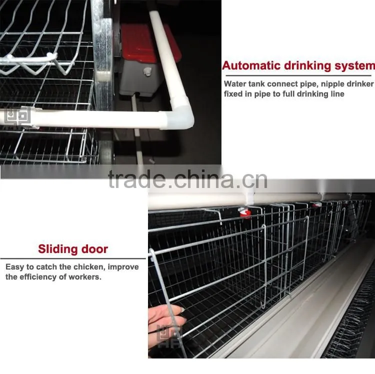 CHINA sales promotion 80 dollars this month chicken coop supplies