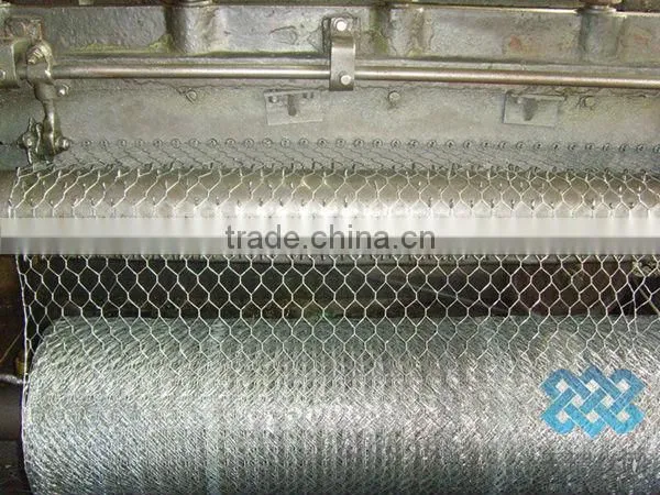 pvc coated/galvanized hexagonal wire mesh