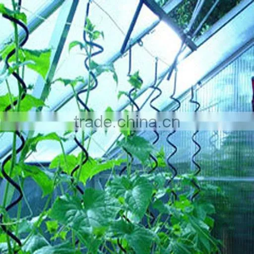 high quality powder coated stainless steel tomato sprial support plant support