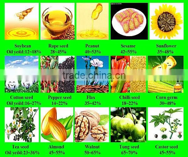Cooking Oil Plants in Indonesia