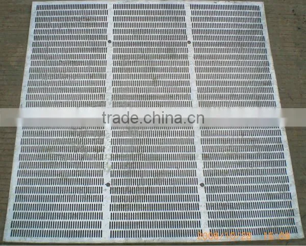 stainless steel sieve screen