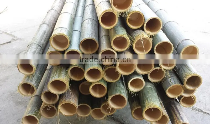 Traditional craft natural bamboo ladder prices