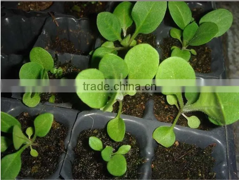 China Supplier PS material 21,32, 50, 72, 98, 105, 128 150 162 200 288 cells plastic trays plant nursery