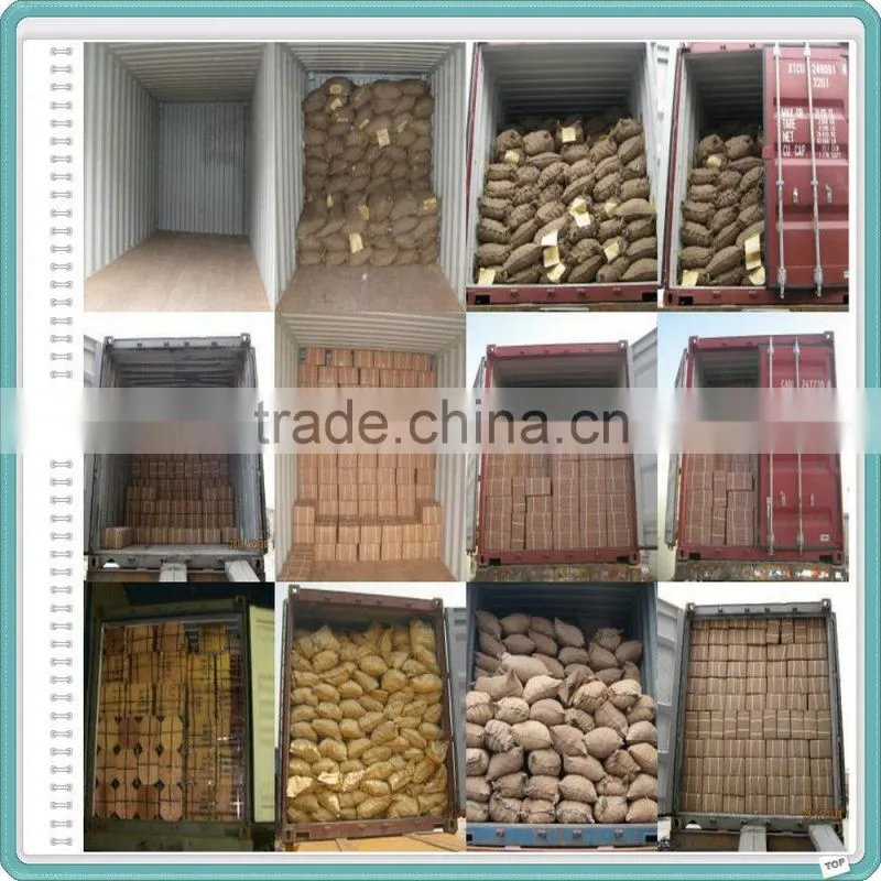 Factory Common Wire Nail/Common Nail for Construction/Common Nail