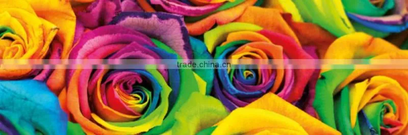 Italy digistar kiian DIGISTAR PES HD ONE sublimation ink