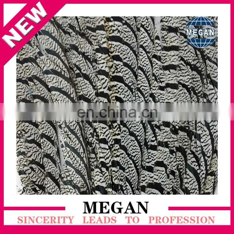 decorative long reeves pheasant feathers