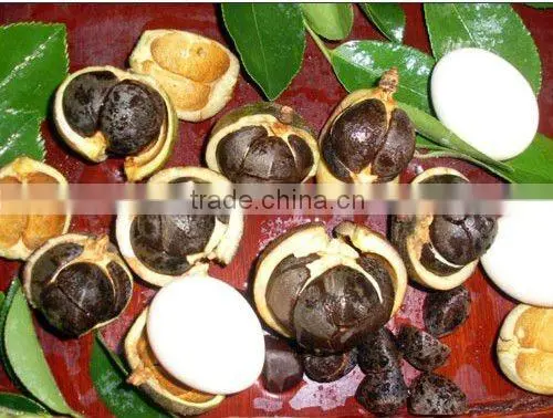 Prime camellia oil