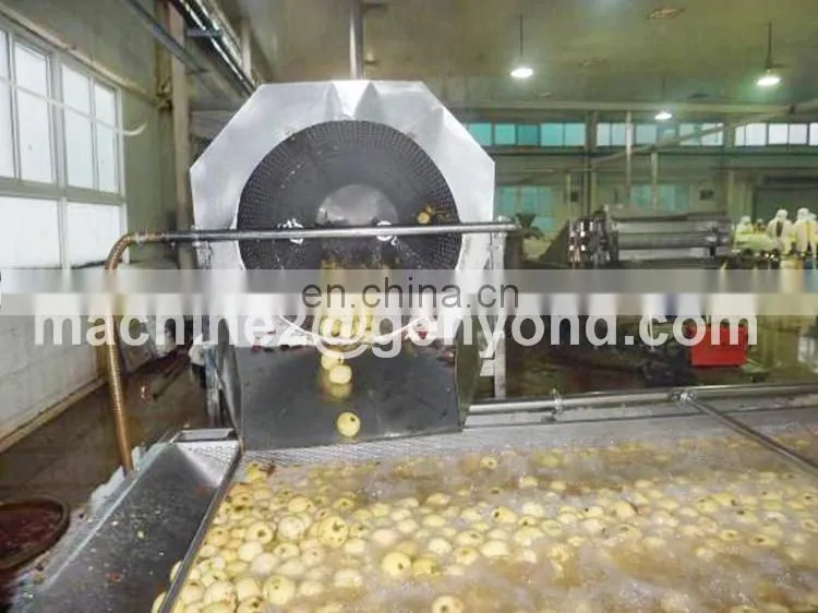 Custom made canning fruit plant with high quality