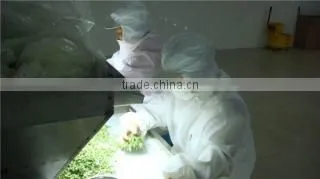 Xinghua Huarong Food Co., Ltd. company overview - view 2