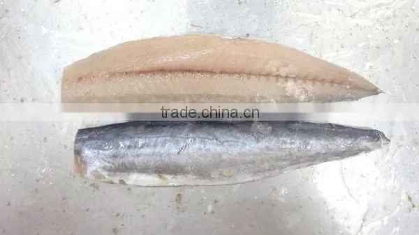 Frozen IQF Spanish Mackerel Fillet IQF Scomberomorus Niphonius King Fish Fillet