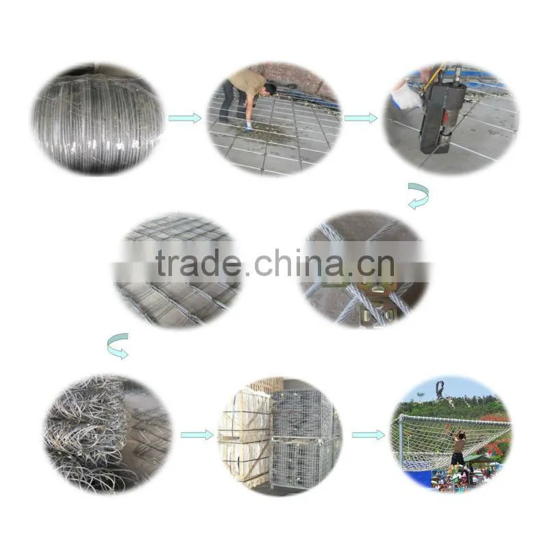 Stone/Rock Fall Protection Metal Wire Mesh(BV certification)