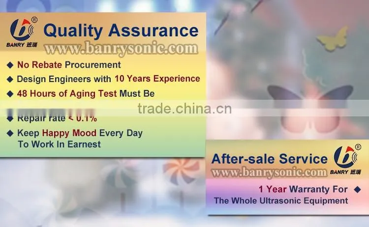 Ultrasonic ultrasound emulsifying mixer used in peanut butter emulsifier