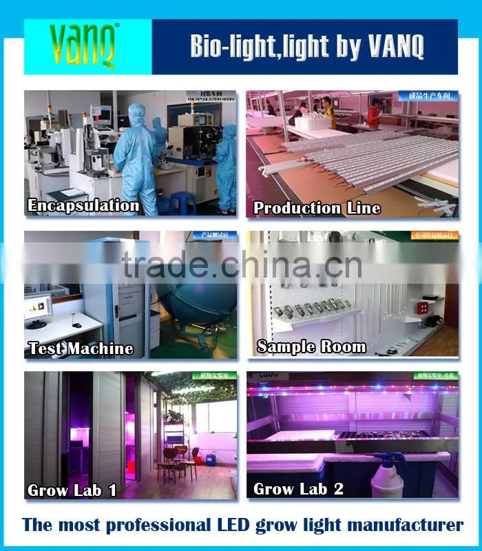 Shenzhen 10w-100w light source,UV led chip