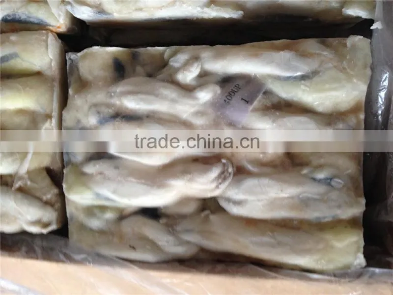 frozen squid fish eggs Illex squid Argentinus eggs