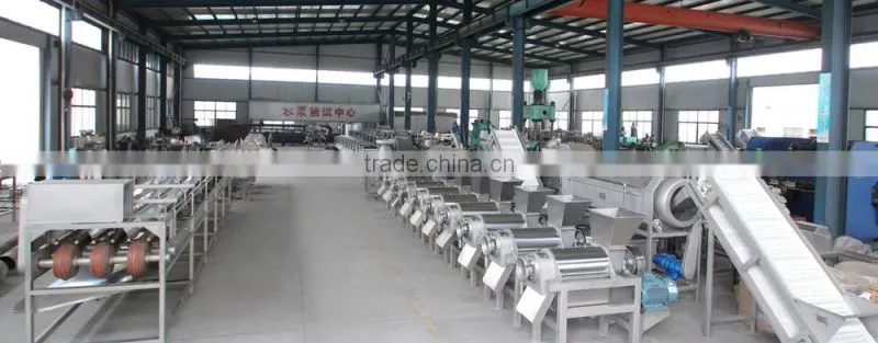 Stainless steel sorting fruit machine