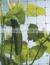Factory direct high quality Plastic garden mesh