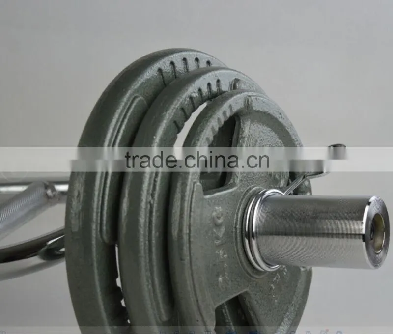 handle painting olympic barbell weight plate in weight lifting