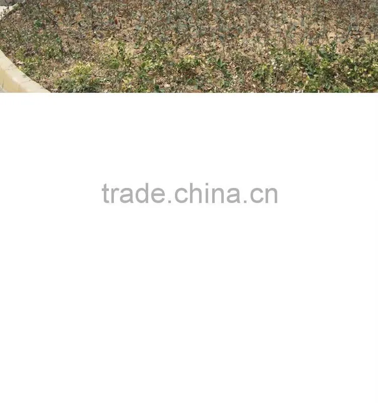 LED globe bulb G95 7.5W factory direct with CE RoHS energy saving