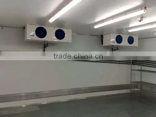 fish and shrimp frozen cold room