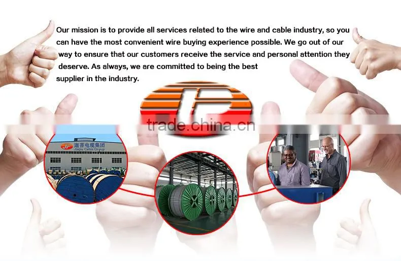 Hot Seller 300/500V PVC Insulated Wire With Reasonable Price