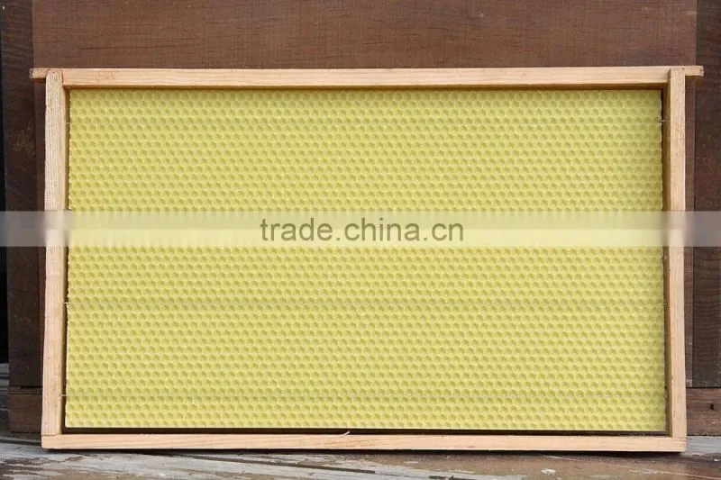 Bees Wax Foundation Sheet