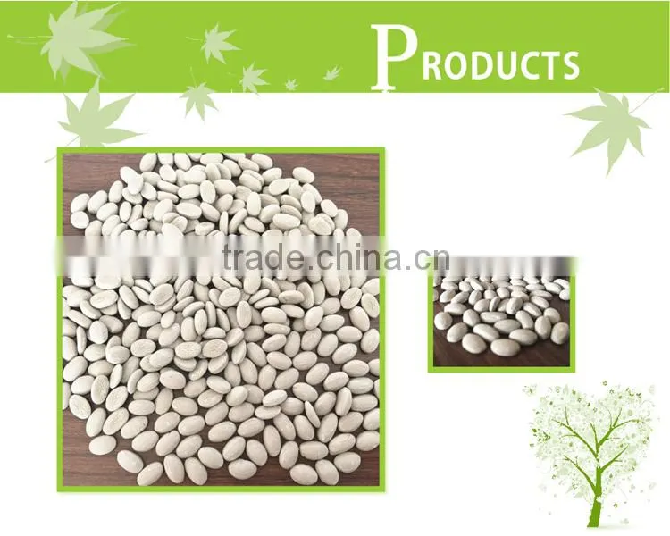 plastic desiccant masterbatch/Cao Desiccant Masterbatch