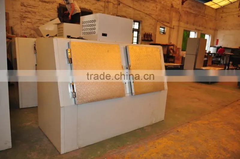 ice storage bin with double doors for baggage ice