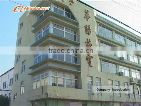 Wenzhou Huayang Crane Motor Co., Ltd. company overview - view 1