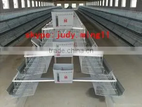 zhenhua chicken breeding cage/Chicken layer cages/ Laying chicken cages