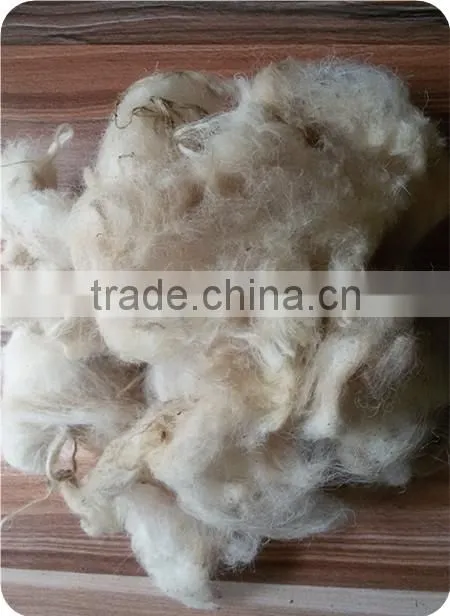 Good white Greasy raw sheep wool use for Carpet