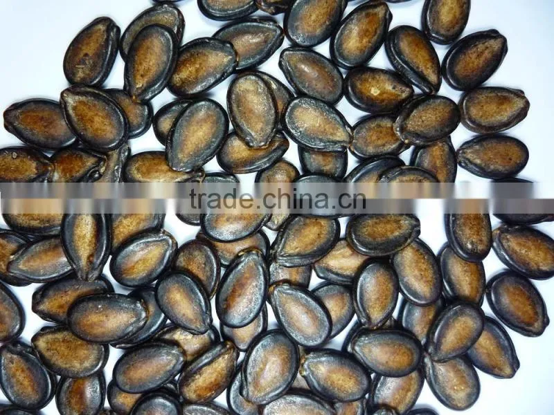 Melon seeds