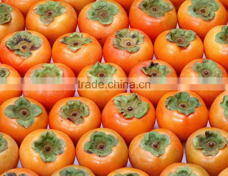 Manufactory Supplier of Diospyros Kaki Fruit Extract,Diospyros Kaki Fruit Extract Powder,Diospyros Kaki Extract 4:1~20:1