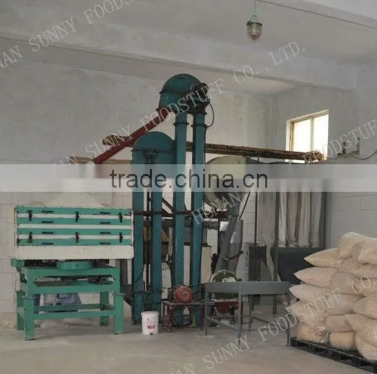 Pure White Onion Powder 100-120Mesh