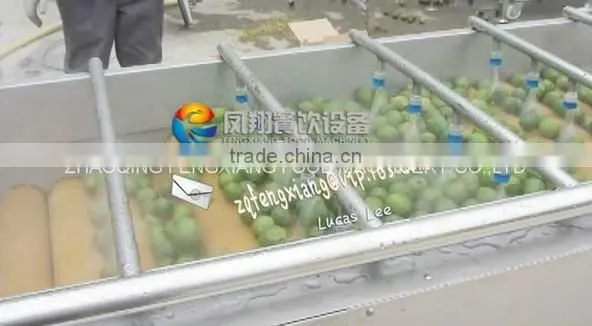 Full Automatic Industrial Spray Vegetable And Fruit Washer Washing Machine