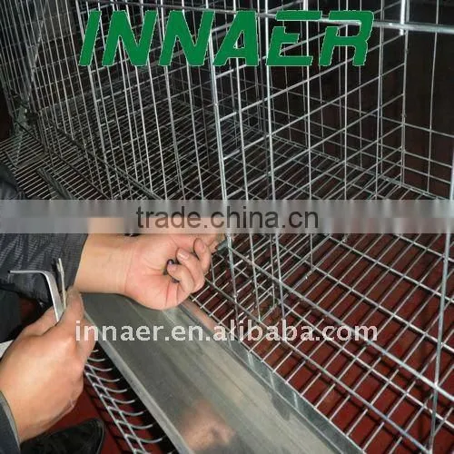 Automatic feeding line for layers and broilers