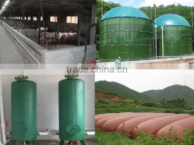 Turnkey Biomass Power Plant/Methane Gas Power Plant/ Oil Gas Power Plant/ Manure Electrical Plant