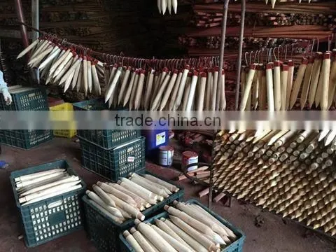 Kego wooden stakes for plant support