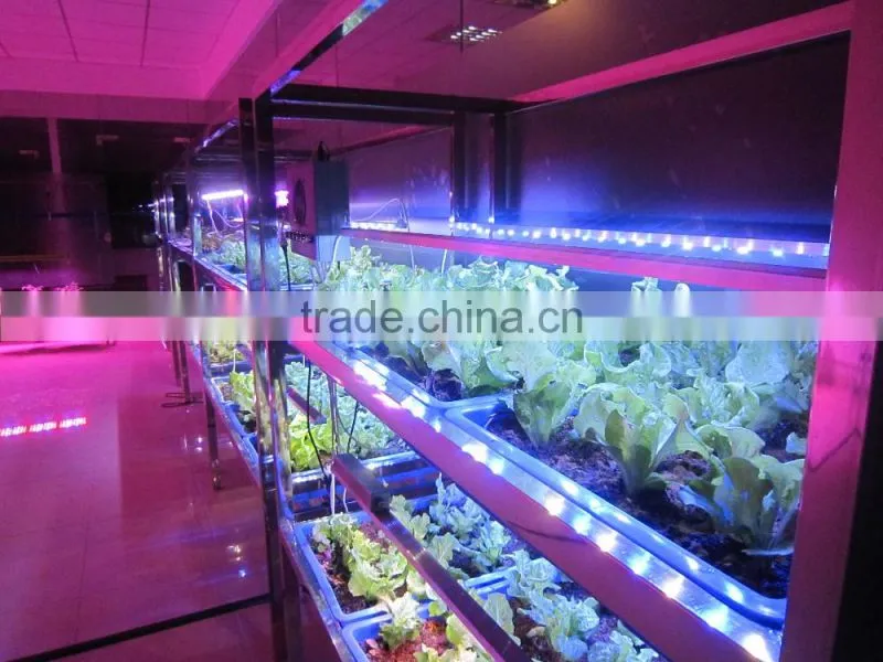 marshydro hydroponics grow light system LED grow light full spectrum 256*5W led the lamp