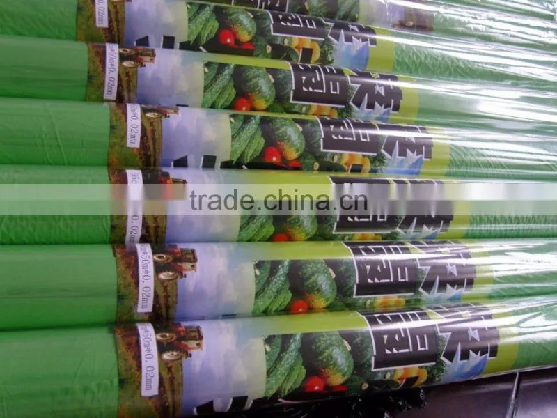 Clear professional agriculture Plastic green silage film for cover