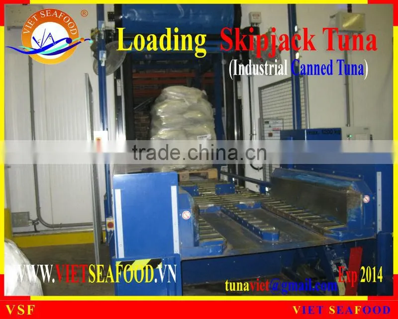 LOADING FROZEN SKIPJACK TUNA W/R