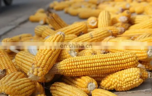 large stock corn/ maize huller/ stripper/ thresher machine/ skin peeler